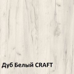 Юнона Шкаф торцевой 13.221 в Сургуте - surgut.mebel24.online | фото 3