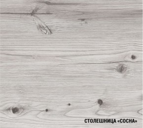 АСАЯ Кухонный гарнитур Экстра 2 (3000 мм) ПМ в Сургуте - surgut.mebel24.online | фото 8