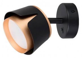Бра Arte Lamp Amaks A8028AP-1BK в Сургуте - surgut.mebel24.online | фото