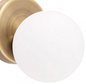 Бра Arte Lamp Bolla-piccolo A3989AP-1AB в Сургуте - surgut.mebel24.online | фото