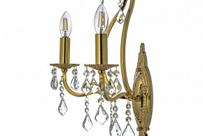 Бра Arti Lampadari Ercolano Ercolano E 2.1.2.602 G в Сургуте - surgut.mebel24.online | фото 6