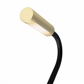 Бра Maytoni Stem C035WL-L3MG3K в Сургуте - surgut.mebel24.online | фото 6