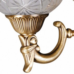 Бра MW-Light Афродита 2 317021902 в Сургуте - surgut.mebel24.online | фото 5