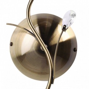 Бра MW-Light Нежность 7 356023001 в Сургуте - surgut.mebel24.online | фото 3