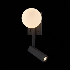Бра с подсветкой ST-Luce Botelli SL1581.401.02 в Сургуте - surgut.mebel24.online | фото