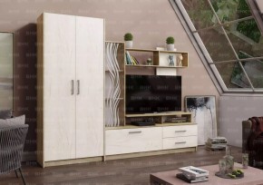 ДАРЬЯ Гостиная (Крафт серый/Крафт белый) модульная в Сургуте - surgut.mebel24.online | фото