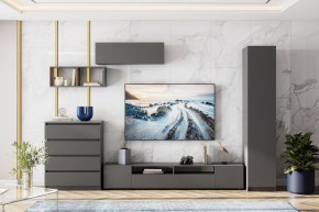 ДЕНВЕР Пенал (Графит серый) в Сургуте - surgut.mebel24.online | фото 4