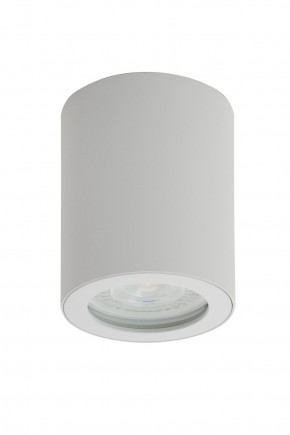 DK3007-WH Накладной светильник влагозащ., IP 44, 15 Вт, GU10, белый, алюминий в Сургуте - surgut.mebel24.online | фото 1