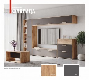 ФЛОРИДА Гостиная (модульная) дуб золотой/графит в Сургуте - surgut.mebel24.online | фото