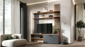 КАРОЛИНА Гостиная (дуб вотан/графит) в Сургуте - surgut.mebel24.online | фото