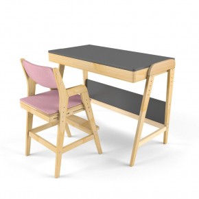 Комплект растущий стол и стул с чехлом 38 попугаев «Вуди» (Серый, Береза, Розовый) в Сургуте - surgut.mebel24.online | фото