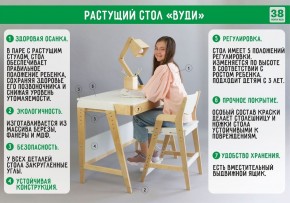 Комплект растущий стол и стул с чехлом 38 попугаев «Вуди» (Серый, Береза, Салют) в Сургуте - surgut.mebel24.online | фото