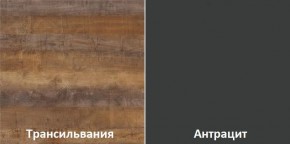 Кухонный гарнитур угловой Трансильвания 2400x1600 мм (Стол. 38 мм) в Сургуте - surgut.mebel24.online | фото 3