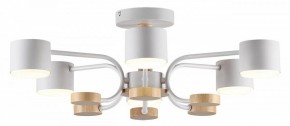 Люстра на штанге Lumion Rondo 8231/6C в Сургуте - surgut.mebel24.online | фото 2