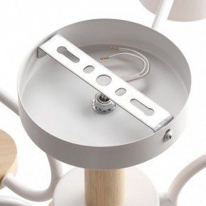Люстра на штанге Lumion Rondo 8231/6C в Сургуте - surgut.mebel24.online | фото 6