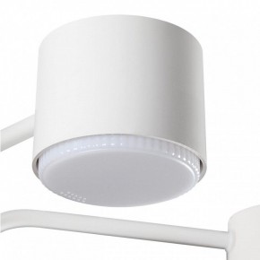 Люстра на штанге Lumion Rondo 8231/6C в Сургуте - surgut.mebel24.online | фото 7