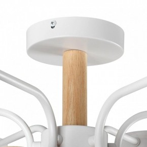 Люстра на штанге Lumion Rondo 8231/6C в Сургуте - surgut.mebel24.online | фото 8