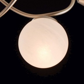 Люстра на штанге MW-Light Оливия 5 306012709 в Сургуте - surgut.mebel24.online | фото 6