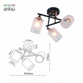 Люстра на штанге Rivoli Fiona Б0059259 в Сургуте - surgut.mebel24.online | фото