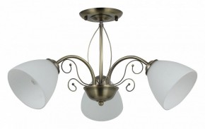 Люстра на штанге Rivoli Sue Б0060985 в Сургуте - surgut.mebel24.online | фото