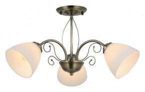 Люстра на штанге Rivoli Sue Б0060985 в Сургуте - surgut.mebel24.online | фото 2