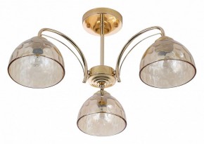Люстра на штанге Rivoli Terri Б0060988 в Сургуте - surgut.mebel24.online | фото 2