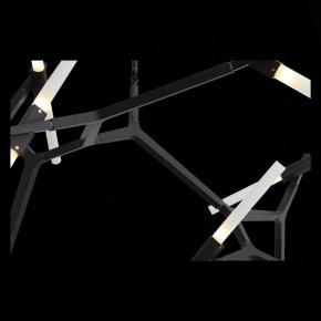 Люстра на штанге ST-Luce Laconicita SL947.402.20 в Сургуте - surgut.mebel24.online | фото 12
