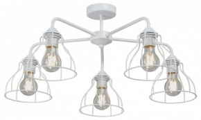 Люстра на штанге Vitaluce V3102 V3102-0/5PL в Сургуте - surgut.mebel24.online | фото