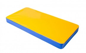 Мат гимнастический 1х0,5х0,08м цв. синий-желтый в Сургуте - surgut.mebel24.online | фото 1