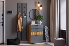 МЕБЕЛЬСОН К21 Прихожая  (графит) в Сургуте - surgut.mebel24.online | фото