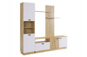 МОДИ К1 Гостиная (белое дерево) в Сургуте - surgut.mebel24.online | фото 6