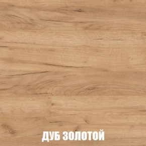 МСП-1 Шкаф 2-х створчатый (Дуб Золотой/Камень темный) в Сургуте - surgut.mebel24.online | фото 4