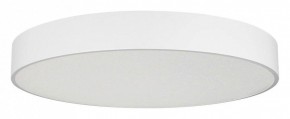 Накладной светильник Arlight TOR PILL 022132(4) в Сургуте - surgut.mebel24.online | фото