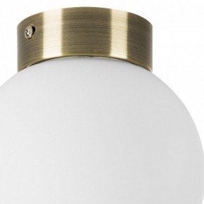 Накладной светильник Lightstar Globo 812011 в Сургуте - surgut.mebel24.online | фото 3