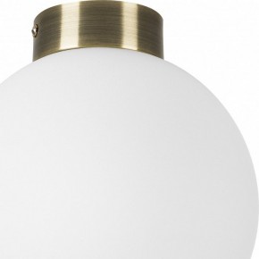 Накладной светильник Lightstar Globo 812021 в Сургуте - surgut.mebel24.online | фото 3