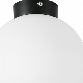 Накладной светильник Lightstar Globo 812027 в Сургуте - surgut.mebel24.online | фото 2