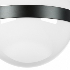 Накладной светильник Lightstar Globo 812117 в Сургуте - surgut.mebel24.online | фото 3