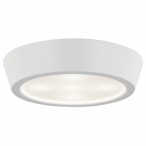Накладной светильник Lightstar Urbano 214902 в Сургуте - surgut.mebel24.online | фото