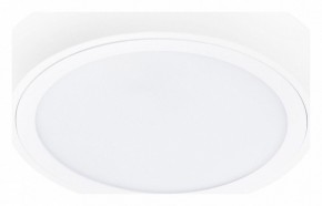 Накладной светильник Lightstar Urbano 216902 в Сургуте - surgut.mebel24.online | фото 1