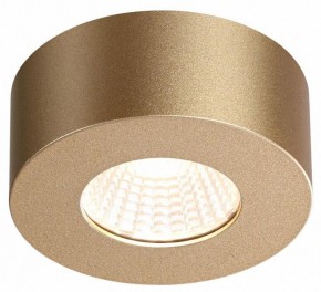 Накладной светильник Odeon Light Bene 4284/7CL в Сургуте - surgut.mebel24.online | фото 4