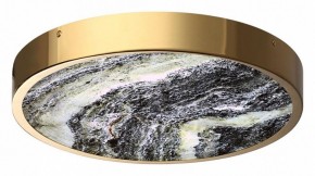 Накладной светильник Odeon Light Bergi 5079/30L в Сургуте - surgut.mebel24.online | фото 3