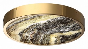 Накладной светильник Odeon Light Bergi 5079/30L в Сургуте - surgut.mebel24.online | фото 6