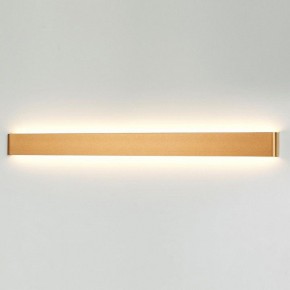 Накладной светильник Odeon Light Framant 4295/40WL в Сургуте - surgut.mebel24.online | фото 3
