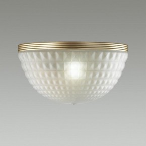 Накладной светильник Odeon Light Malaga 4936/1W в Сургуте - surgut.mebel24.online | фото 2