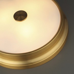 Накладной светильник Odeon Light Marsei 4824/4C в Сургуте - surgut.mebel24.online | фото 5