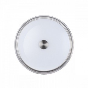 Накладной светильник Odeon Light Marsei 4825/3C в Сургуте - surgut.mebel24.online | фото 2