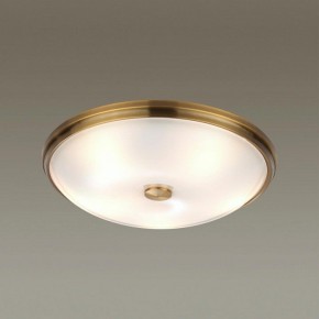 Накладной светильник Odeon Light Pelow 4956/5 в Сургуте - surgut.mebel24.online | фото 2