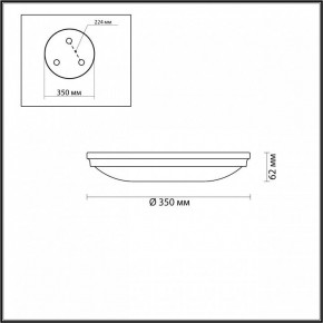 Накладной светильник Odeon Light Pelow 4957/4 в Сургуте - surgut.mebel24.online | фото 3