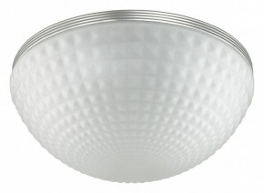 Накладной светильник Odeon Light Pirsa 4937/4C в Сургуте - surgut.mebel24.online | фото 2