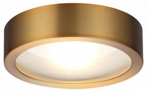 Накладной светильник Odeon Light Reus 4342/7CL в Сургуте - surgut.mebel24.online | фото 3